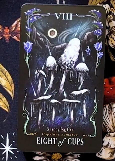 Midnight Magic: A Tarot Deck of Mushrooms